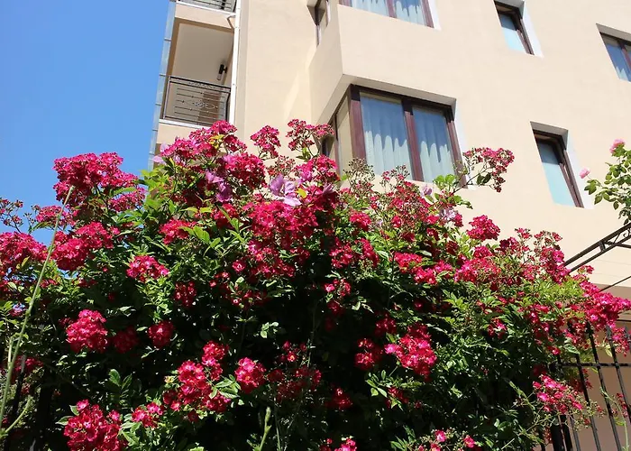 Flowers Penzion Nesebar